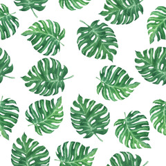 Fototapeta premium Seamless pattern with tropical monstera leaves on white background. Hand drawn watercolor illustration.