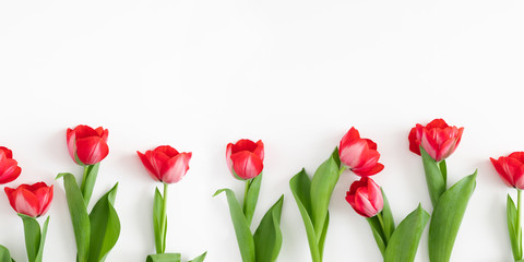 Obraz premium Flowers composition romantic. Red tulips on white background. Wedding. Birthday. Happy womens day. Mothers Day. Valentine's Day. Flat lay, top view, copy space, banner