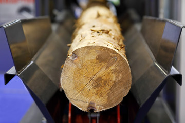 wood log peeling with a debarker machine