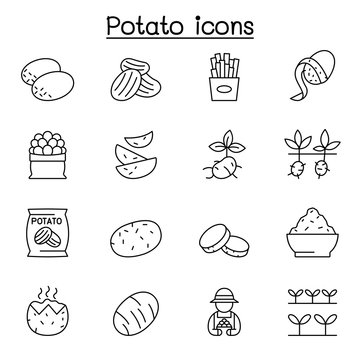 potato icon set in thin line style