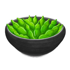 Illustration of Edamame on white background. Japanese food in hand drawn style.