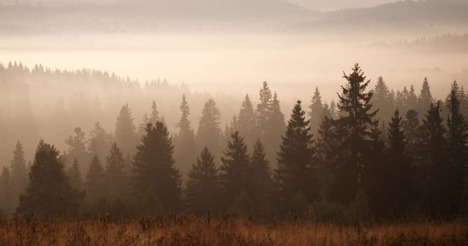 Sepia Landscape of the Mist Shrouded Carpathian Mountains at Sunrise