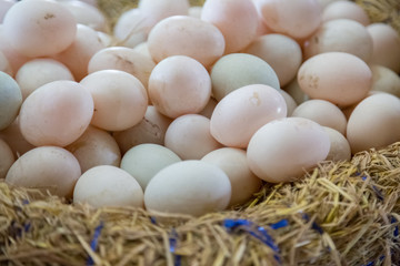 Fresh Eggs are in the basket