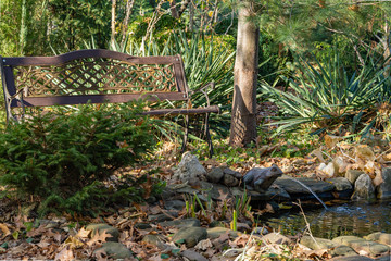 Garden bench on the banks of beautiful garden pond. Blurred background. Pond with frog-shaped fountain and stone shores. Selective focus. Autumn in landscaped garden. Nature concept for design.