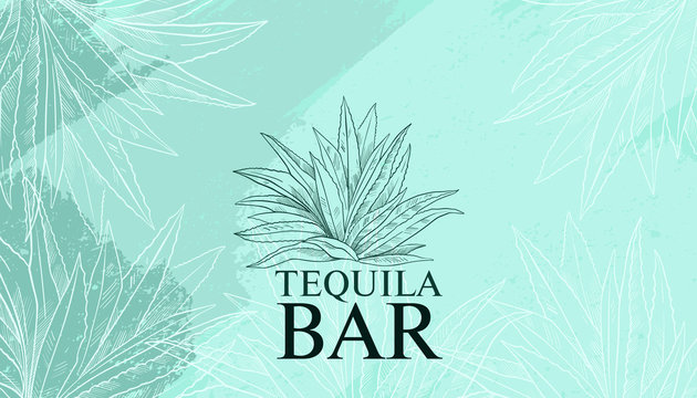 Tequila abstract vector background in engraving style with blue and green brushstrokes and agave. Emblem for bottle label and print for bars, pubs, restaurants in Mexican style.