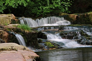 Obraz premium waterfall in the forest