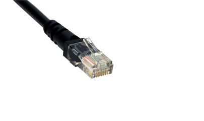 Closeup head UTP Cat6 cable black cladding color isolated on white with clipping path