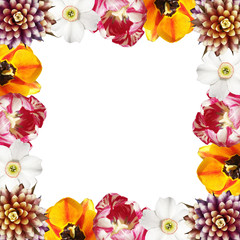 Beautiful floral pattern of narcissus, tulips and guzmania. Isolated