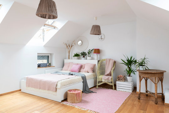 Interior Of White Bedroom In The Attic With Double Bed And Pink Decoration. Cozy Room In Apartment With Wooden Floor, Carpet, Armchair And Table. Bright Indoors With Window.