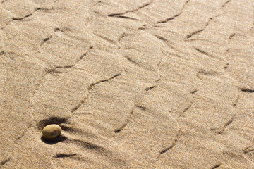 small isolated stone in the sand of the beach, copies space