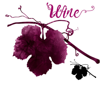 illustration of vine with tendrils. Artistic illustration with red wine stains.