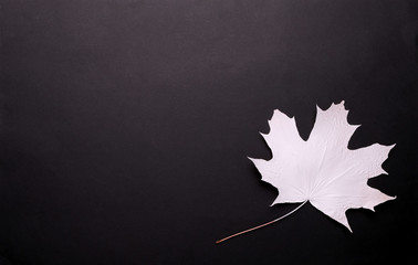 white maple leaf on a black background