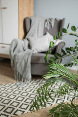 Bright room in Scandinavian style: gray armchair with a plaid and pillows, a white wardrobe, white chair, a rug and green flowers 