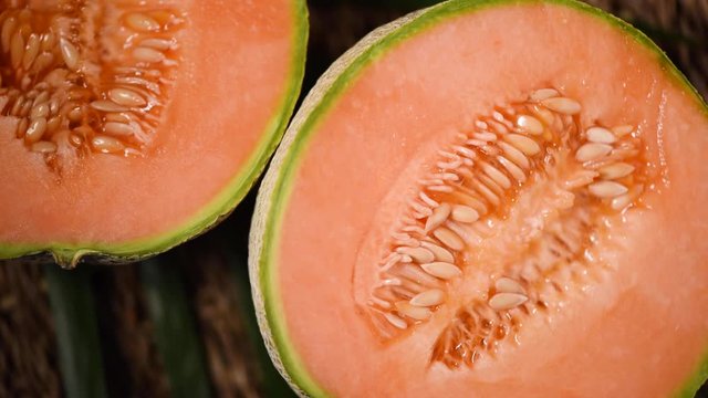 Orange melon on rotating background. Top view. Exotic fruit, tropical palm branch. Vegan and raw food concept. Cantaloupe melons plants
