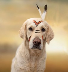 Indianerin