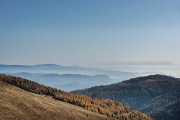 Am W&ouml;llaner Nock