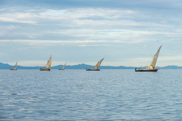 sailing boats catching fish on a calm blue sea