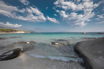 Summer Morning on the Beach