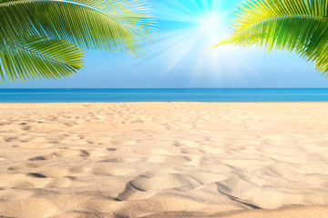 Tropical sea beach with sand, ocean, palm leaves and blue sky