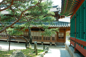 Korean style of pavilion and resident housing in historical architecture style with colourful traditional and indigenous art painting located in a fresh green park.
