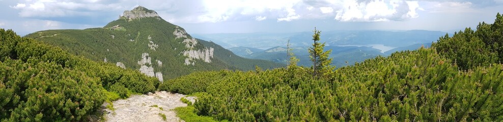 Fototapeta na wymiar romanian mountains