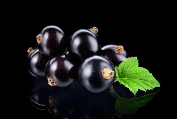 Currant black isolated.  Black currant with leaves on black background. Currants on black. Currant on branch. Full depth of field.