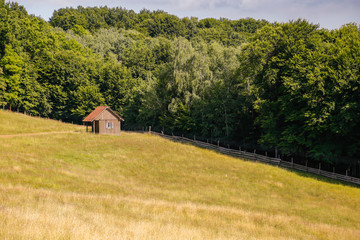 Tinny cottage built in isolated rural area