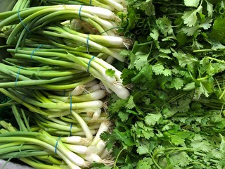 Stalks of spring onions and cilantro leaves, cropped shot