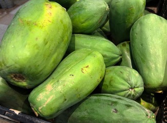 Green, unripe papayas of different sizes sold at the fresh produce section of a grocery store.