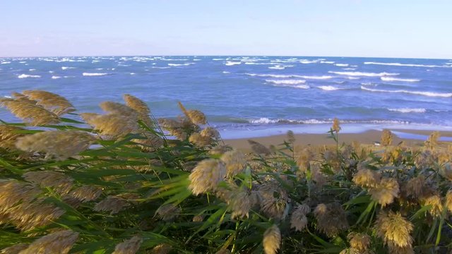 Lake Balkhash. Kazakhstan. 