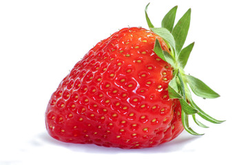 fraise en gros plan sur un fond blanc