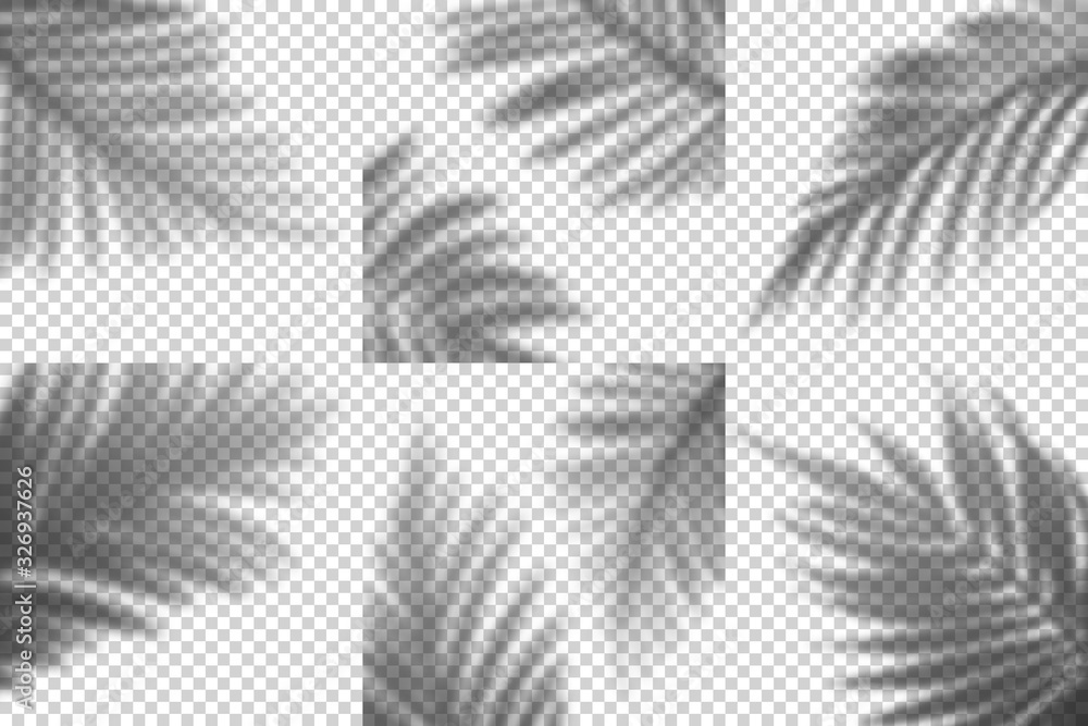 Poster Vector Transparent Shadows of Palm Leaves. Decorative Design Elements Set for Collages and Mockups