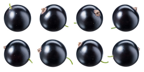 Black currant isolate. Currant black on white background. Currant with clipping path. Top view. Side view. Set with full depth of field.