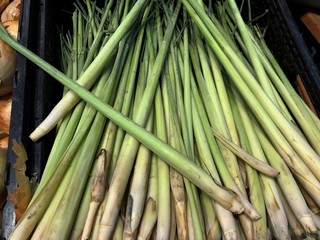 Stalks of lemon grass, an aromatic herb for cooking.