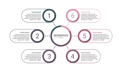 Timeline infographic template with 6 options on white background, vector illustration