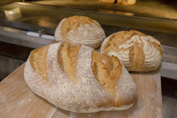 bread loafs just taken out of the oven
