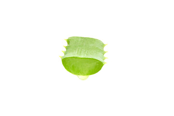 aloe juice drop isolated close up on white