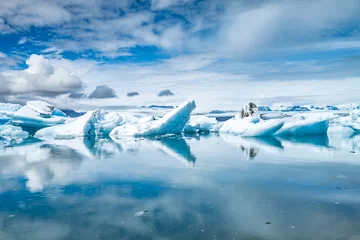 Foto op Plexiglas Ice and glaciers in Iceland © roca83