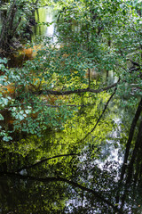 the reflection in the water, the mysterious view of the river, games of light and shadow, focus and sharpness on certain areas.