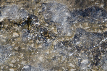 Frozen Icy grunge Background