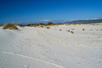 Fototapeta na wymiar Le bianche dune di Is Arenas Biancas a Teulada