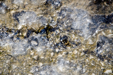 Frozen Icy grunge Background