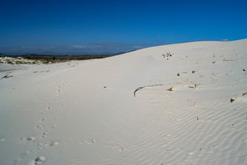 Le bianche dune di Is Arenas Biancas a Teulada