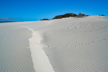 Le bianche dune di Is Arenas Biancas a Teulada
