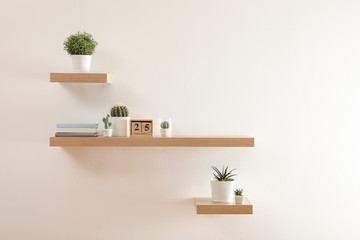 Wooden shelves with beautiful plants and calendar on light wall