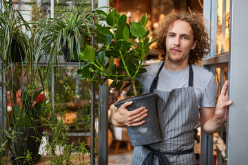 Gardener with green plant in the garden center