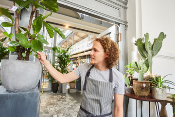 Man as a florist in training with green plant