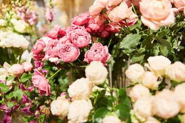 Selection of different varieties of roses
