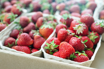 Red ripe juice fresh organic strawberry packed in eco friendly paper cardboard boxed at wholesale storage market for transportation and shipping export and import. Nutritious healthy berry diet food