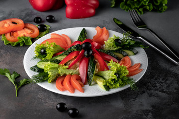 tomato, bell pepper, cucumber slices, lettuce and thyme on white plate, served on grey cement...